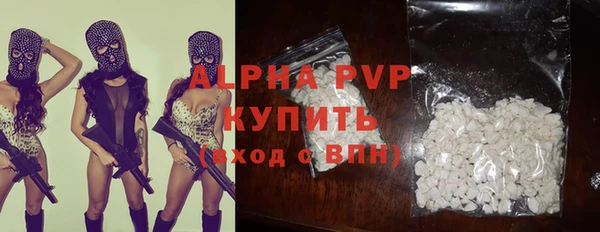прущие грибы Инта