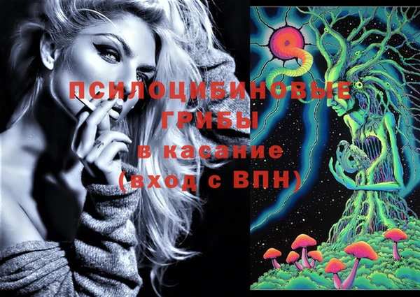 тгк Алзамай
