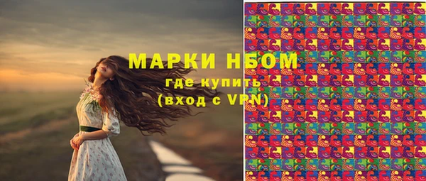 тгк Алзамай