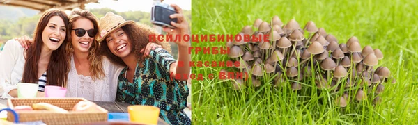 винт Алексеевка