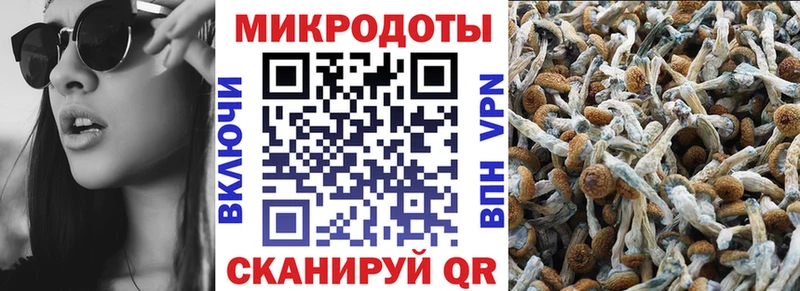 Псилоцибиновые грибы ЛСД  Фатеж 